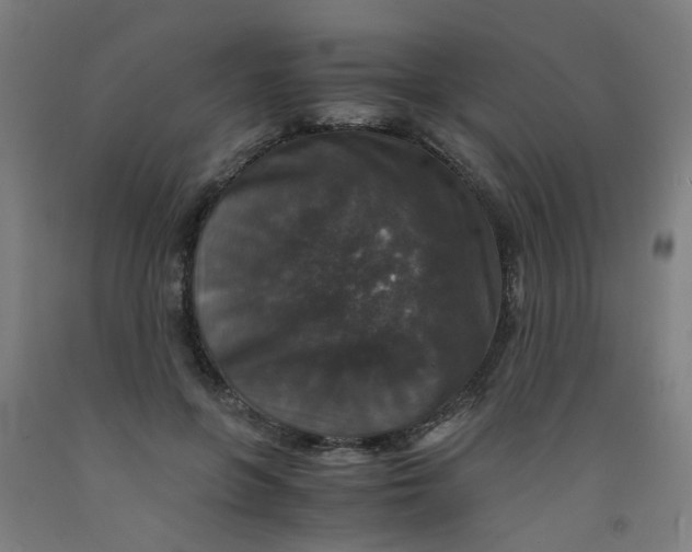 X0000091960551200709271348