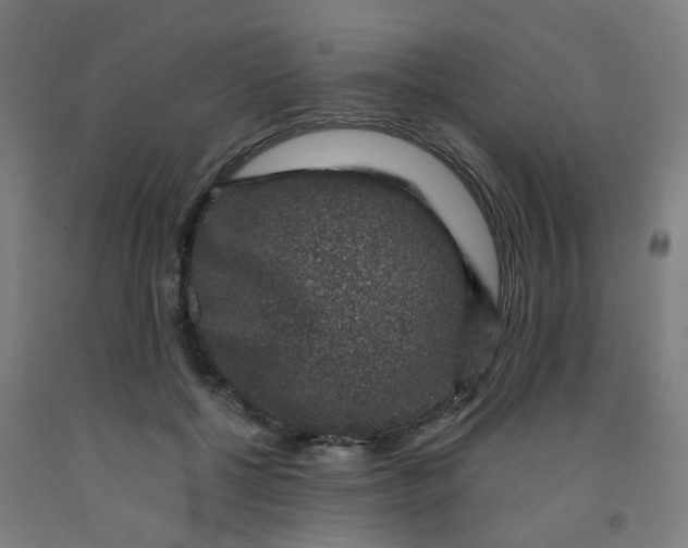 X0000091960552200709271348