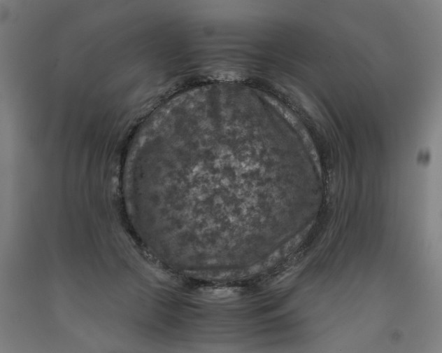 X0000091960553200709271348