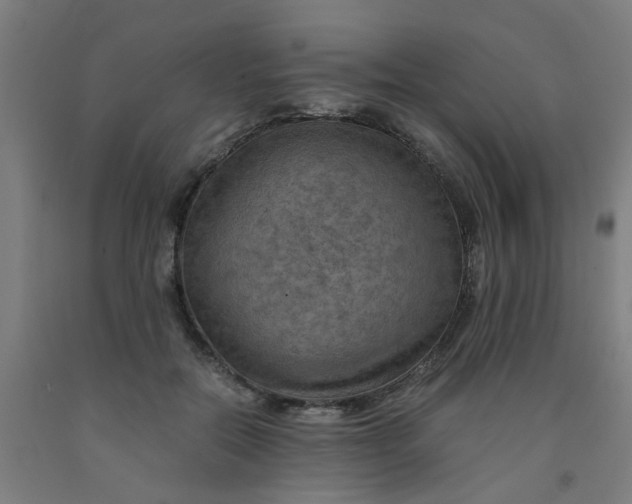 X0000091960554200709271348