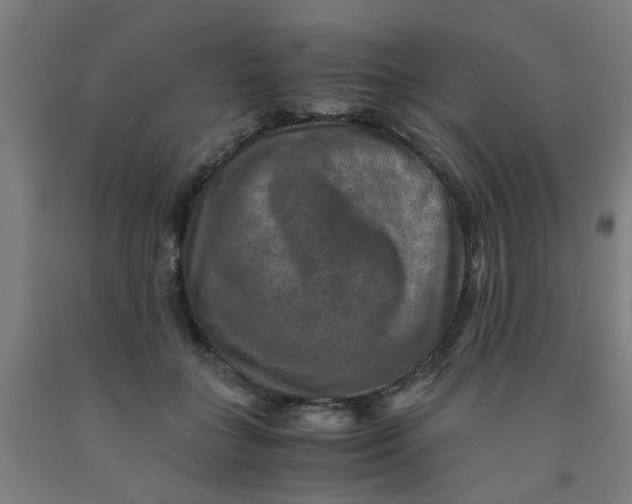 X0000091960555200709271348