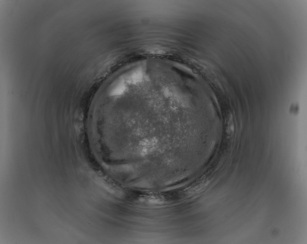 X0000091960559200709271348