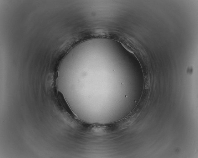 X0000091960560200709271348