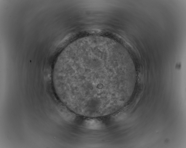 X0000091960561200709271348