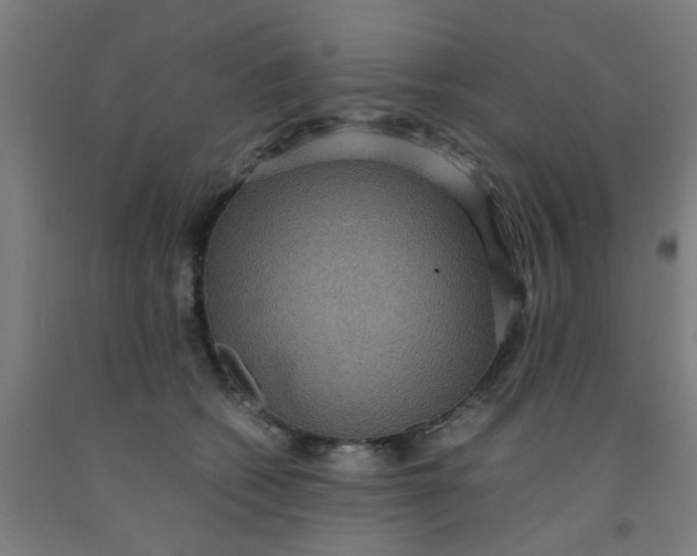 X0000091960562200709271348