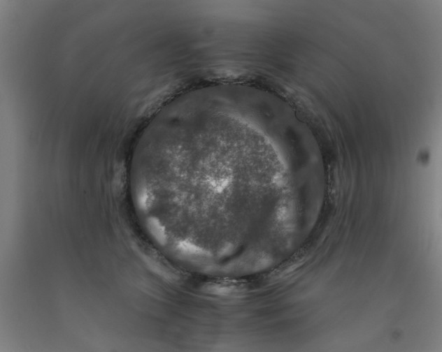 X0000091960563200709271348