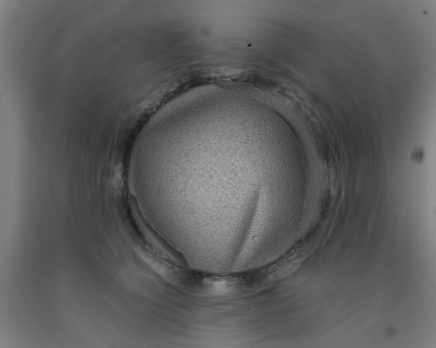 X0000091960564200709271349