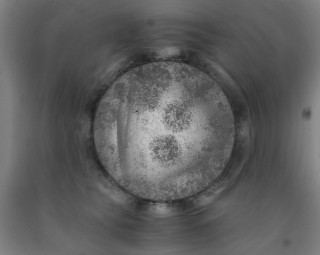 X0000091960565200709271349