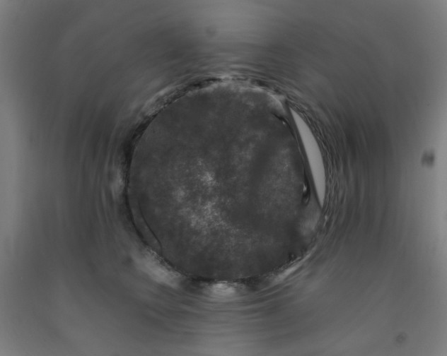 X0000091960566200709271349