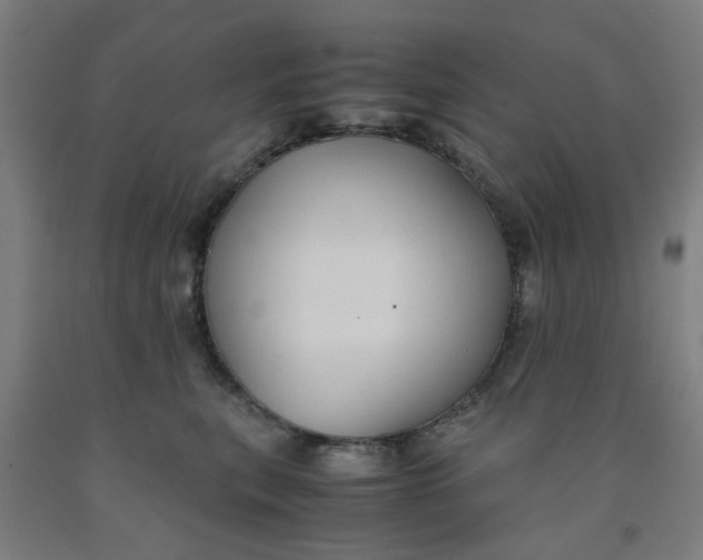 X0000091960567200709271349