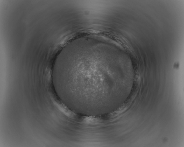 X0000091960568200709271349