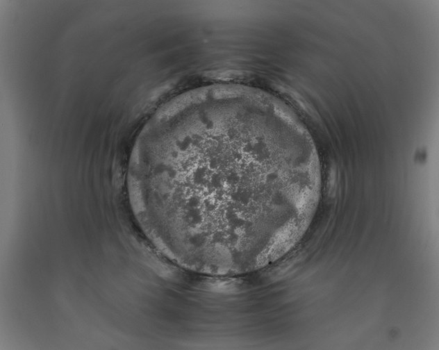 X0000091960569200709271349