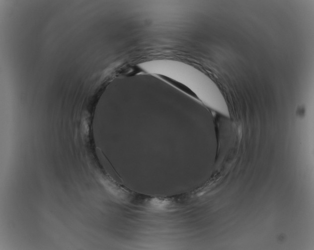 X0000091960570200709271349