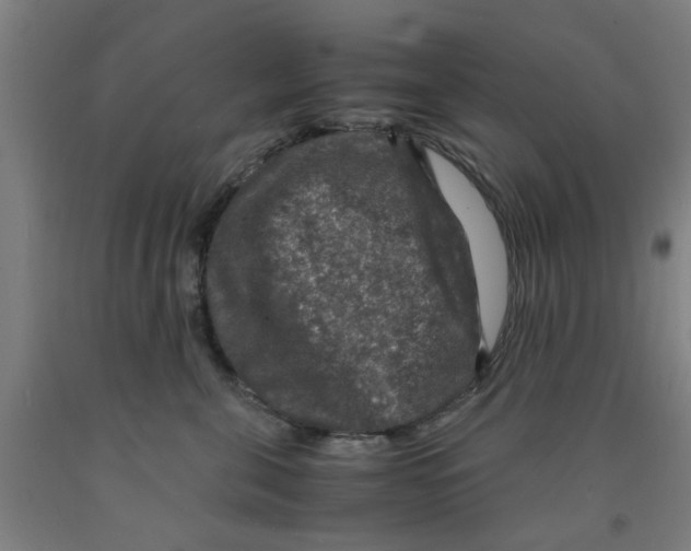 X0000091960571200709271349