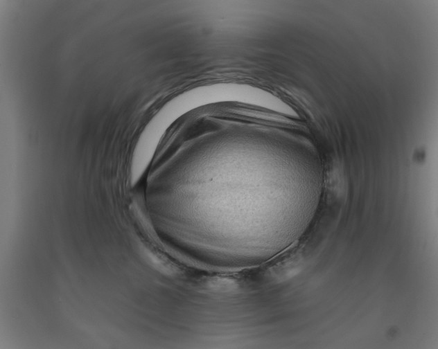 X0000091960572200709271349