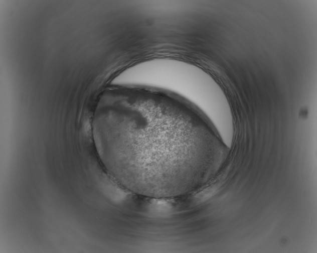 X0000091960573200709271349