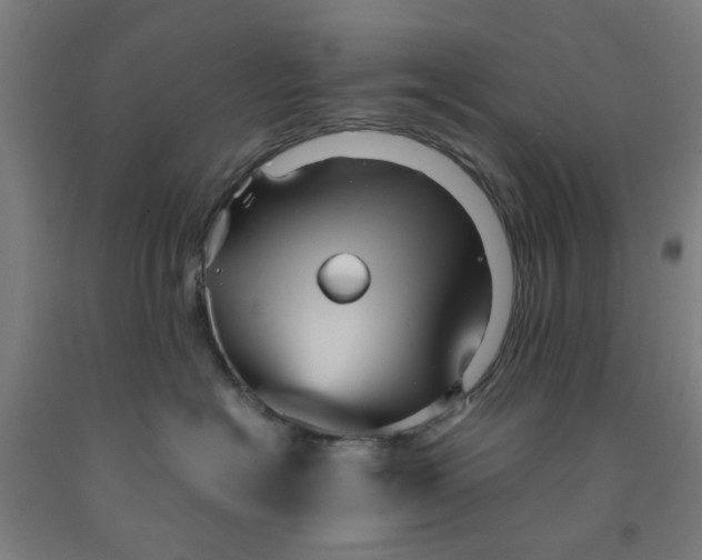 X0000091960574200709271349