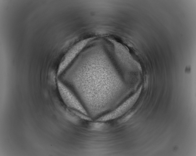 X0000091960575200709271349