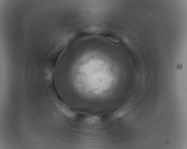 X0000091960576200709271349