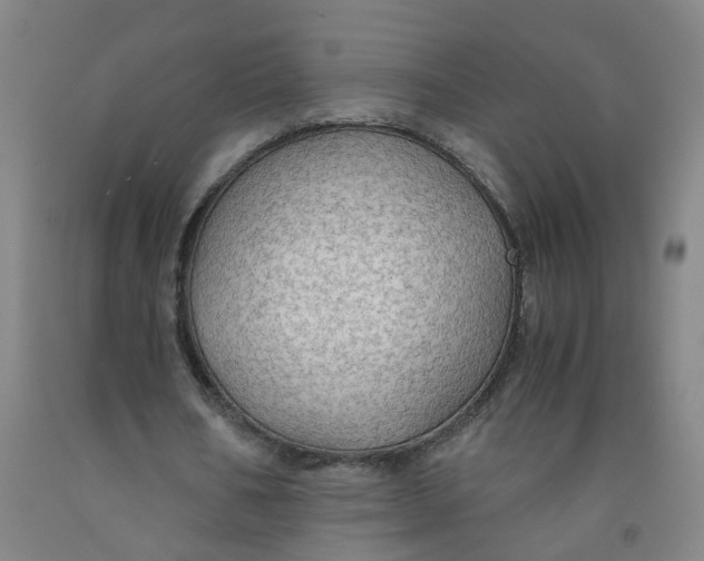 X0000091960578200709271348