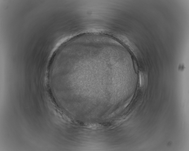 X0000091960579200709271348