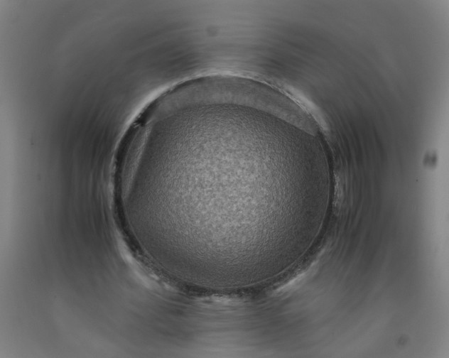 X0000091960580200709271348