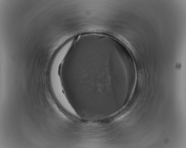 X0000091960581200709271348