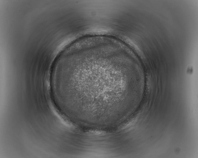 X0000091960582200709271348