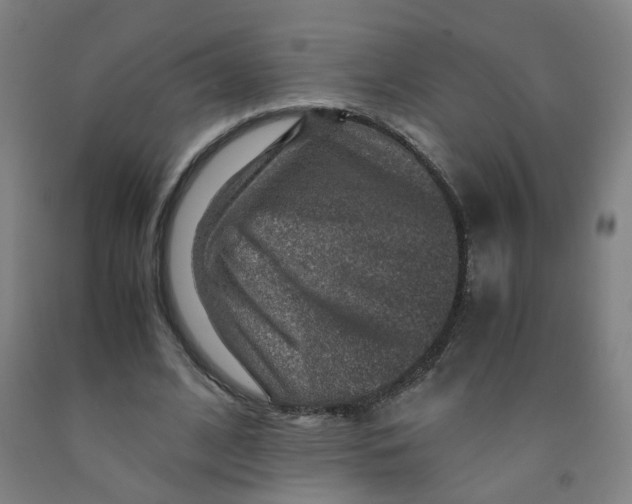 X0000091960584200709271348