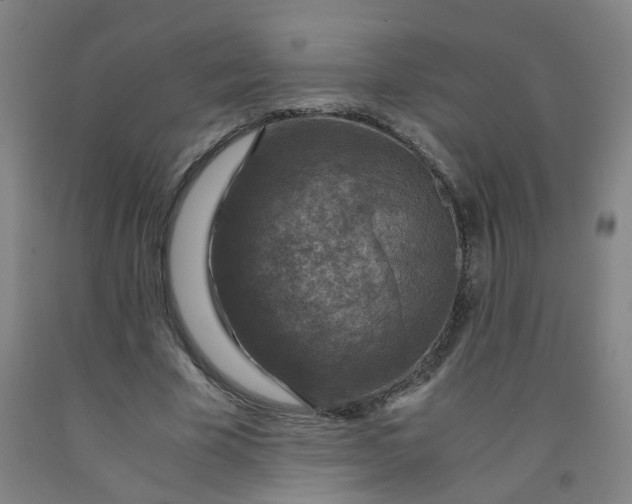 X0000091960585200709271348