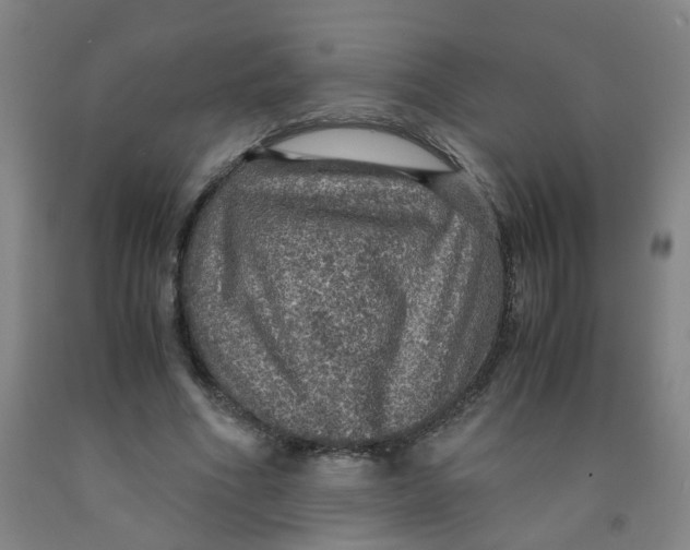 X0000091960586200709271348