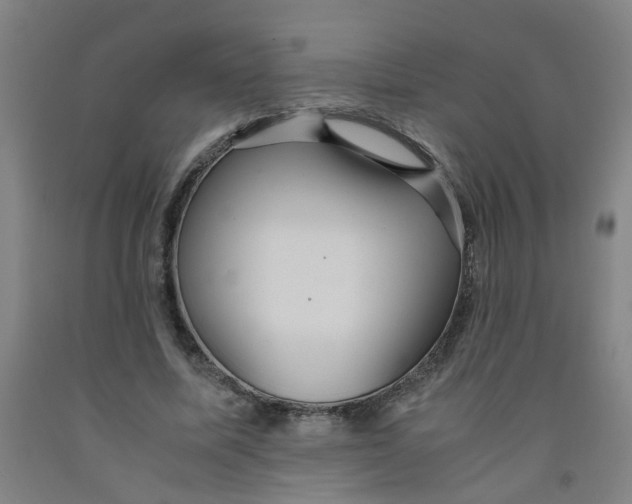 X0000091960587200709271348