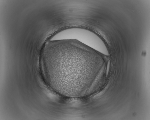 X0000091960589200709271348