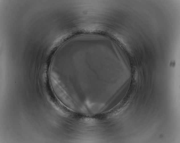 X0000091960590200709271348