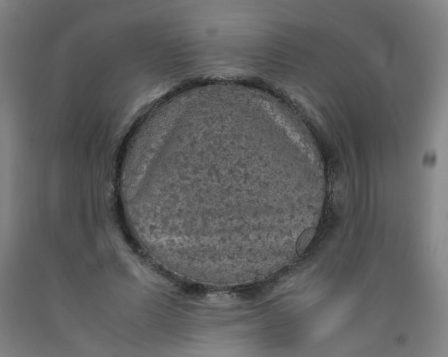 X0000091960591200709271348