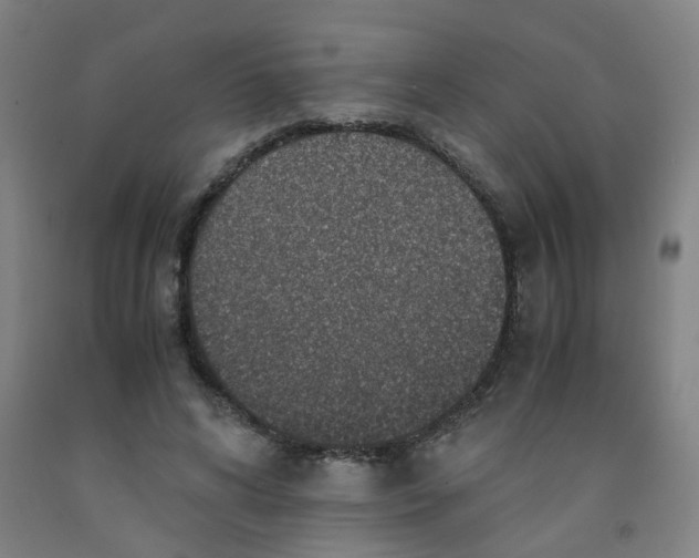 X0000091960592200709271348