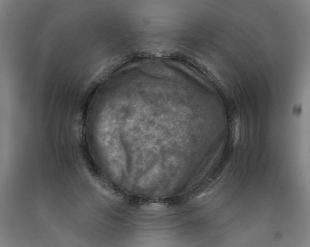 X0000091960594200709271348