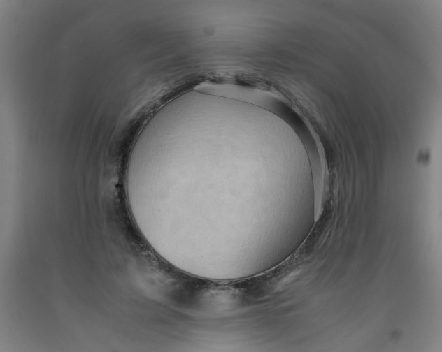 X0000091960595200709271348