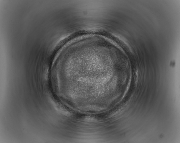 X0000091960596200709271348