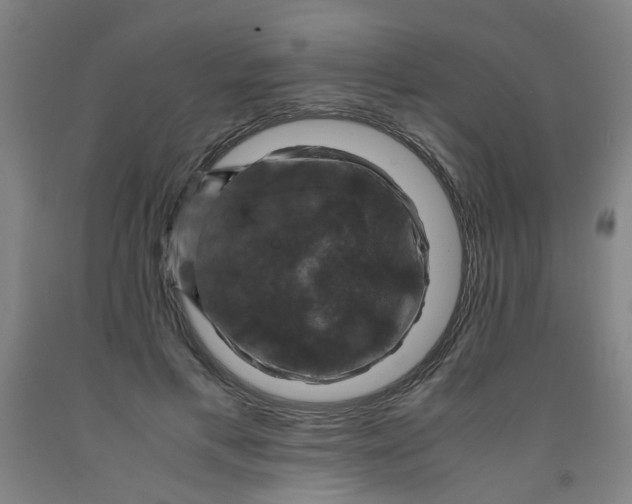 X0000091960597200709271348