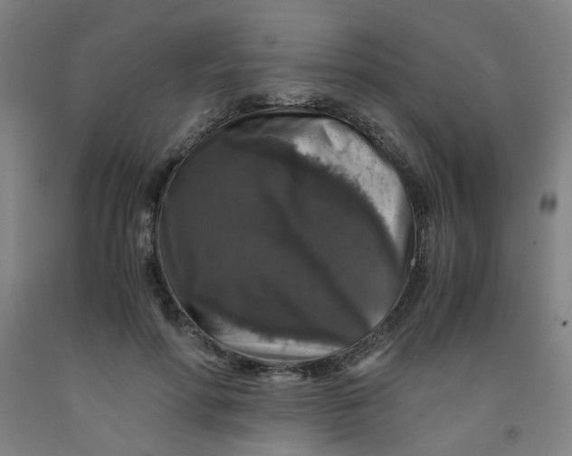 X0000091960598200709271348