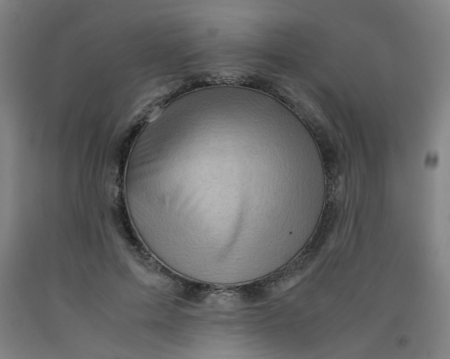 X0000091960599200709271348