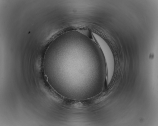 X0000091960600200709271348