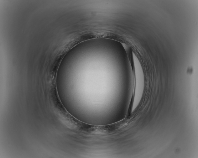 X0000091960601200709271348