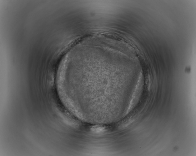 X0000091960602200709271348