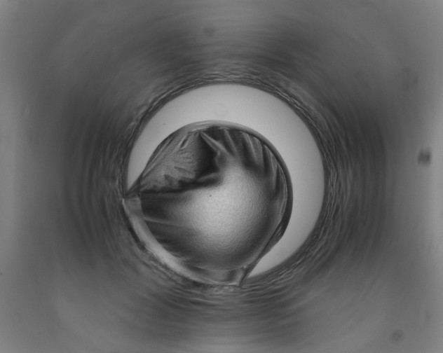 X0000091960604200709271348