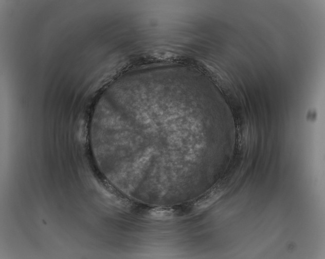 X0000091960606200709271348