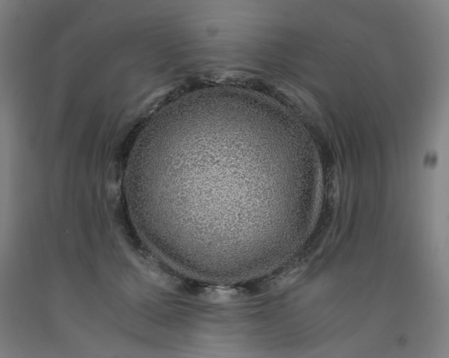 X0000091960607200709271348