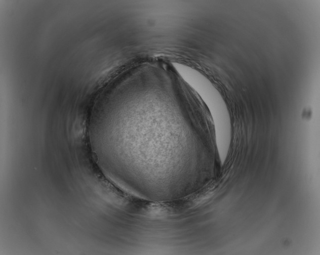 X0000091960608200709271347