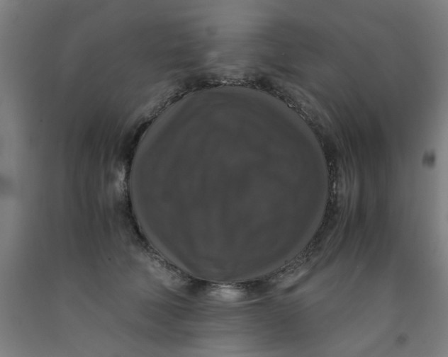 X0000091960610200709271347